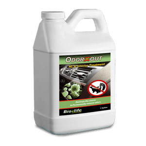 OdorXout - Gallon. Kills Bacteria and Eliminates Odor. - Dvelup Shopify